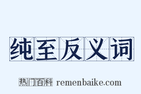 纯至反义词是什么意思的图片